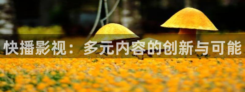 第七花花影院：快播影视：多元内容的创新与可能