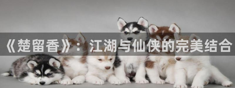 第七影院16花花影院：《楚留香》：江湖与仙侠的完美结合