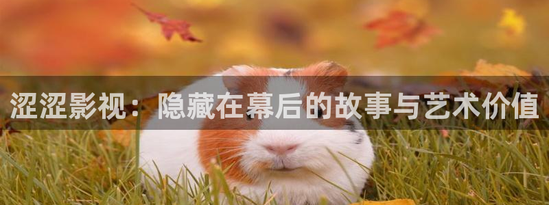 王牌对王牌第七季星辰影院