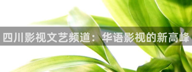 第七影院午夜：四川影视文艺频道：华语影视的新高峰